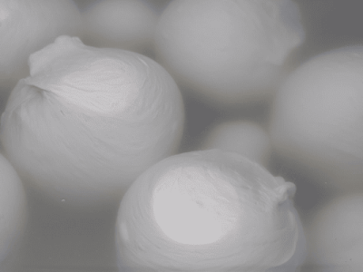 759b2bba-aaa0-43f1-8d82-7ec8eb9d85a7