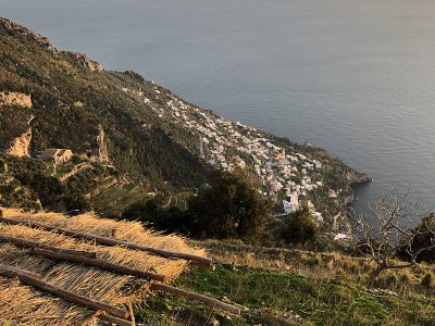 IMG_1872