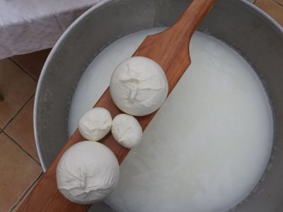 mozzarella experience with amalfi coast tourism & services